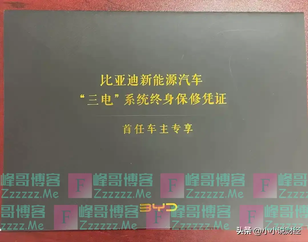 第一批比亚迪开始换电池了，费用惊呆车主，这样的费用你能接受吗