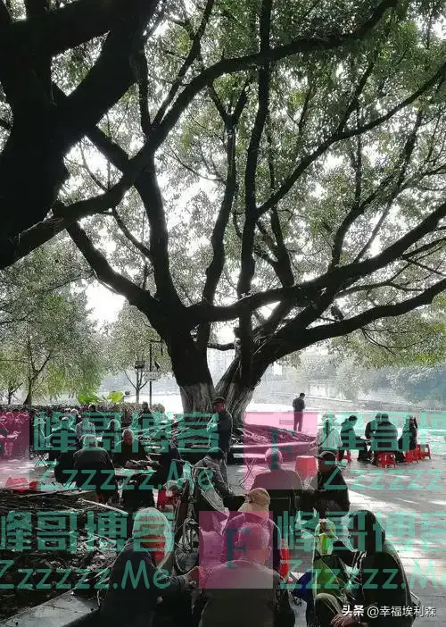公园“老头乐”,5元抚摸、30元服侍,真是让人瞠目结舌!