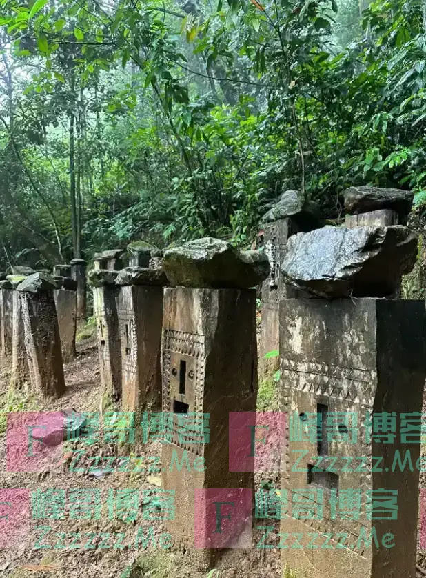 云南哀牢山有多可怕?是现实版的云南虫谷,真正的人类禁区!