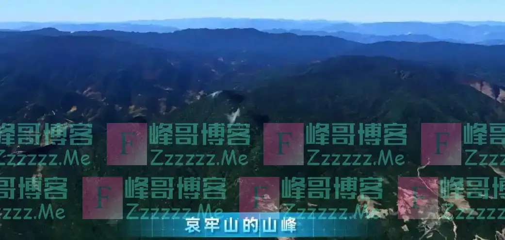 云南哀牢山有多可怕?是现实版的云南虫谷,真正的人类禁区!