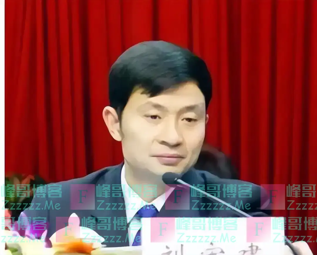 四川市委书记刘宏建不贪不赌不嫖,清正廉洁却被判刑,罪名还不轻