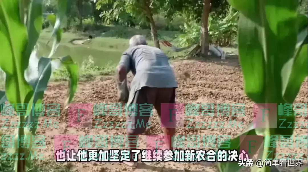 11月1日起:新农合缴费“一夜大改”,对于断缴一律按新规处理