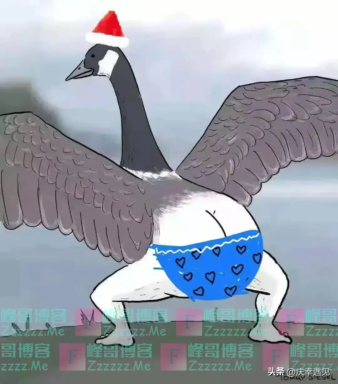 游泳的时候,最尴尬和有趣的事情是什么,网友的回答:裸泳算吗?