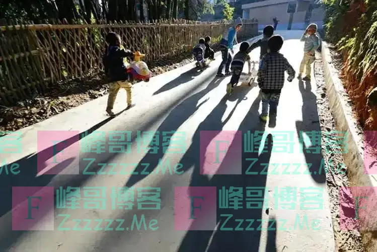当年那个没腿的“篮球女孩”,如今28岁了,貌美如花,当了公务员