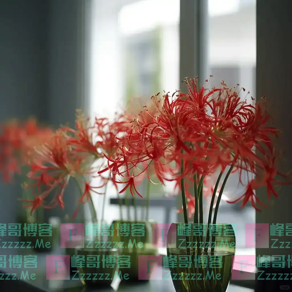 阴花不能进阳宅!这5种花“打死”也不养,家里若有?快挪走!