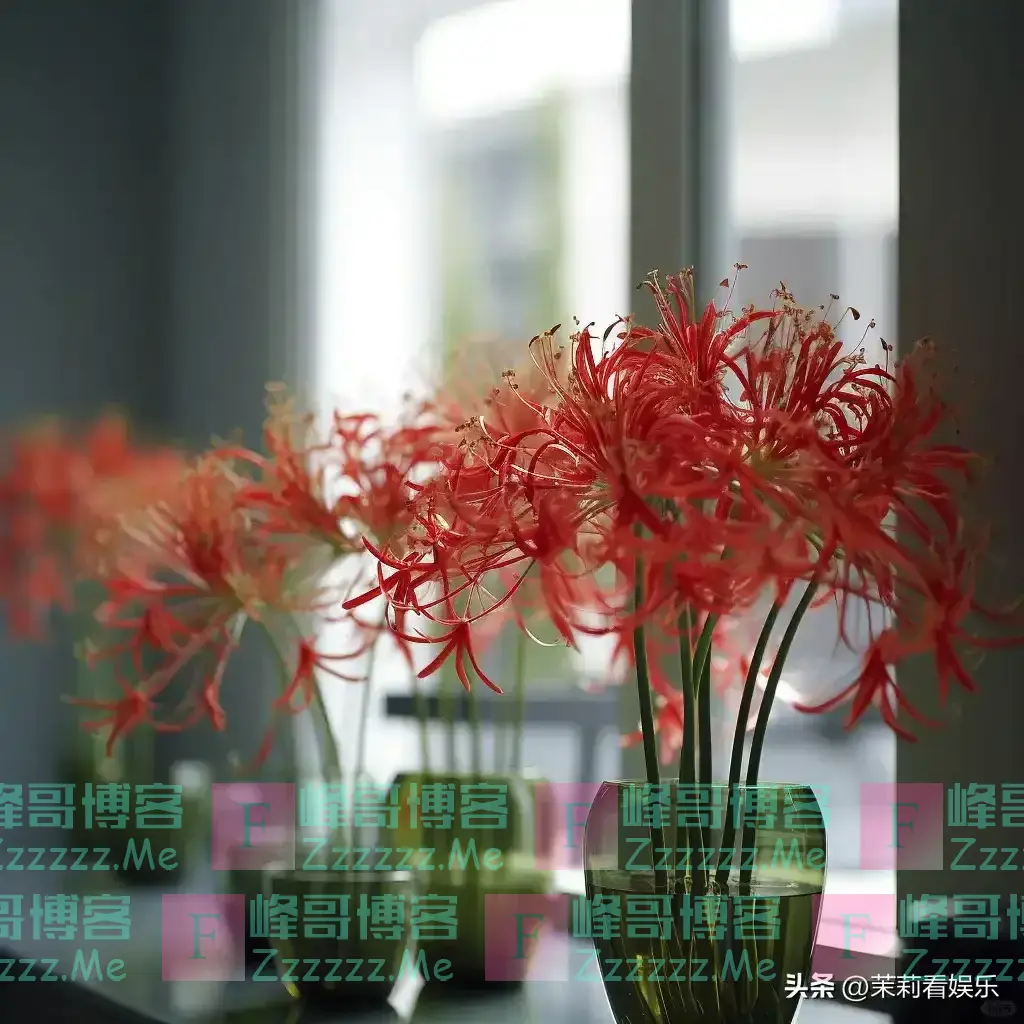 “阴花”不能进阳宅!这5种花“打死”也不养,家里若有快挪走!