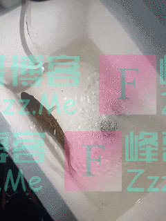 江西一男子钓到斑鳜鱼,身上“长”满铜钱,网友:北京三环一套房