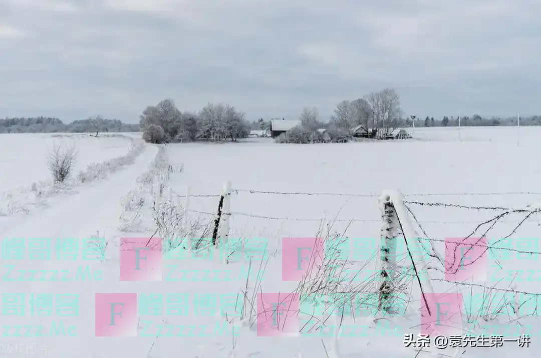 “不怕冬至雪，就怕冬至晴”，今日冬至，天晴有啥预兆？早了解