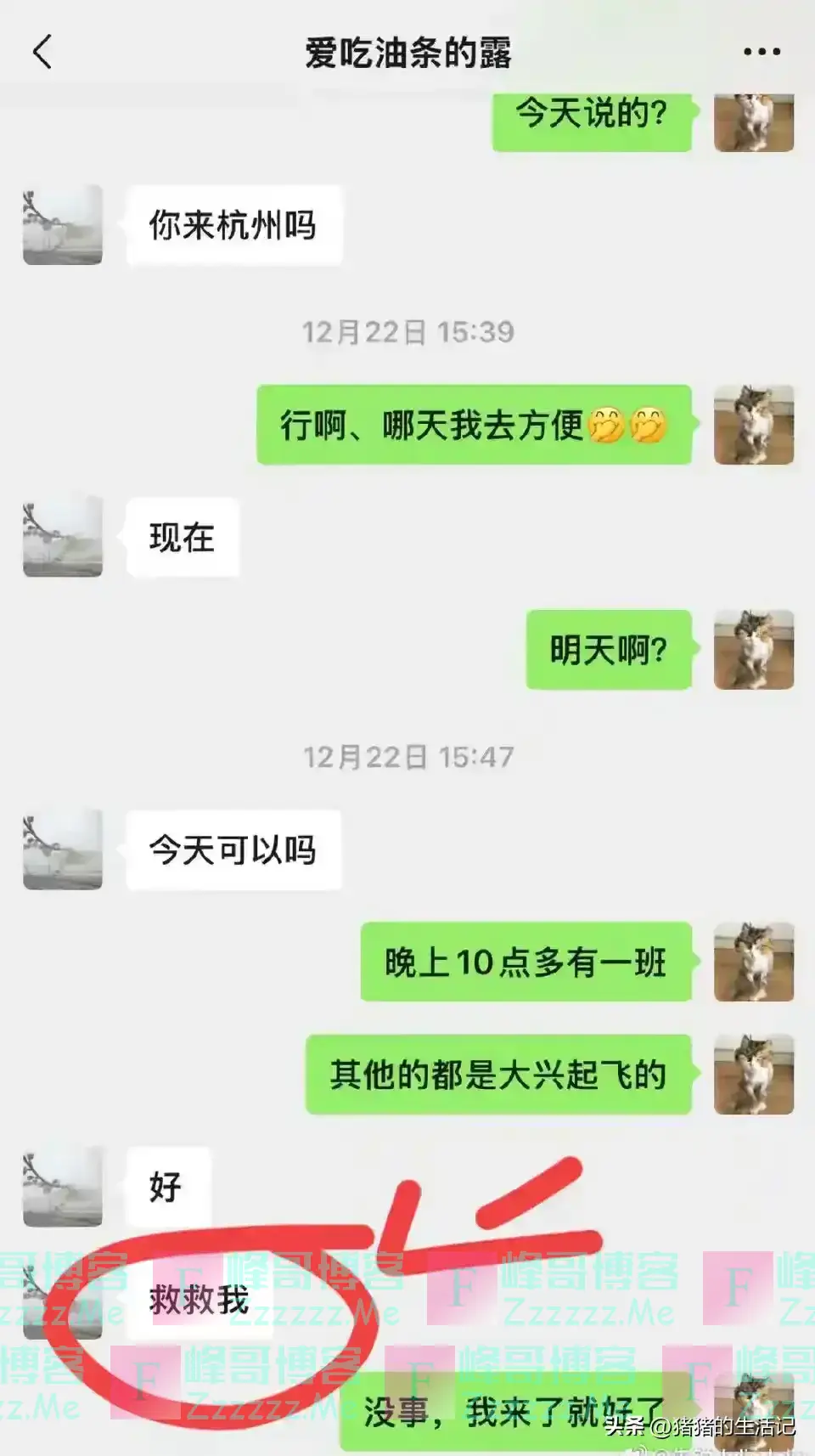 赵露思晕倒前向好友求救！含泪说“救救我”，聊天停留在12月22日