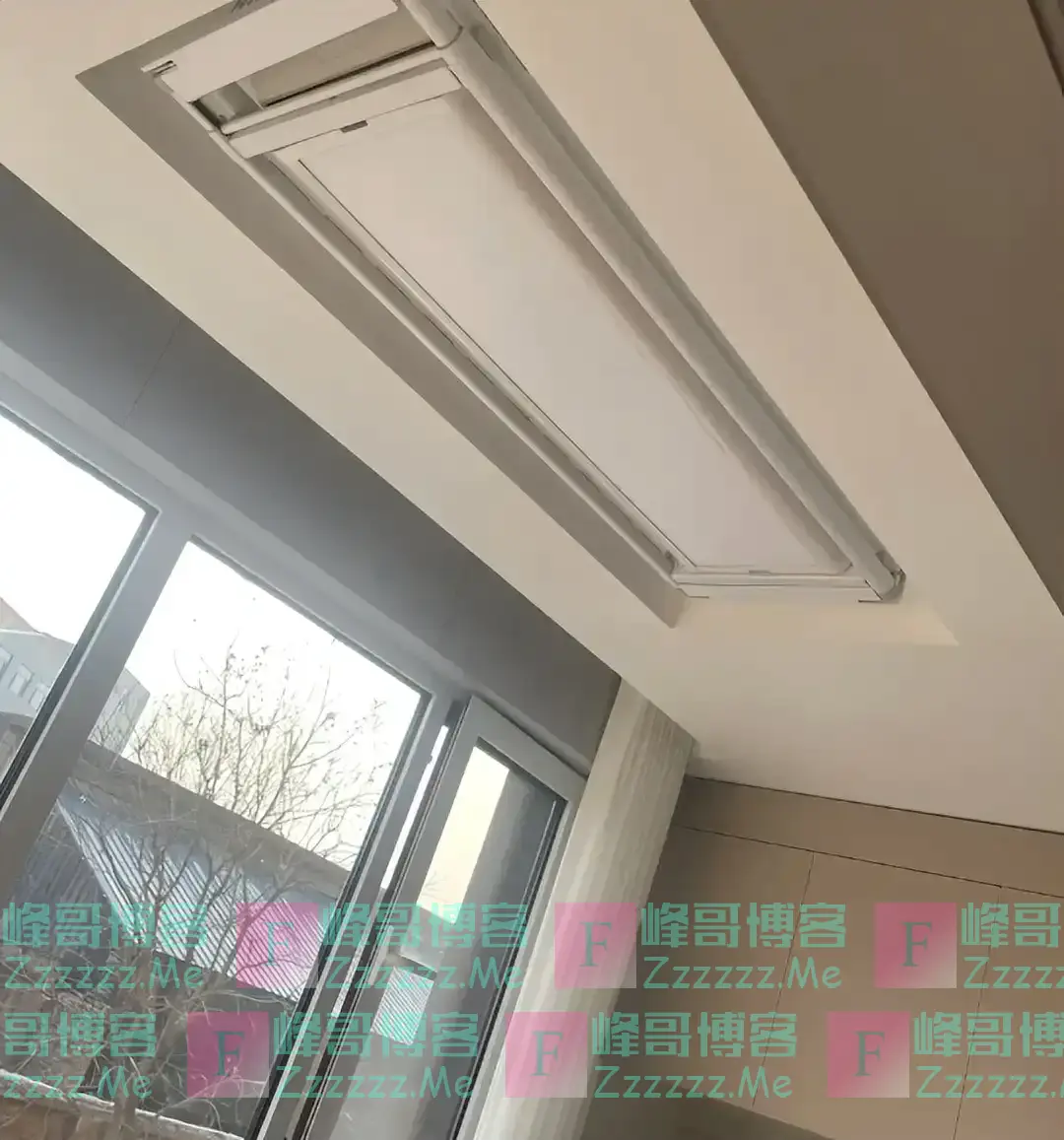 浙江发现一户人家阳台,果然聪明人,大开眼界,快拍下给大家瞧瞧