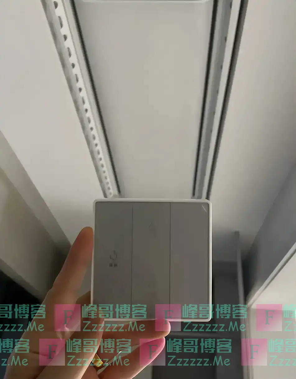 浙江发现一户人家阳台,果然聪明人,大开眼界,快拍下给大家瞧瞧