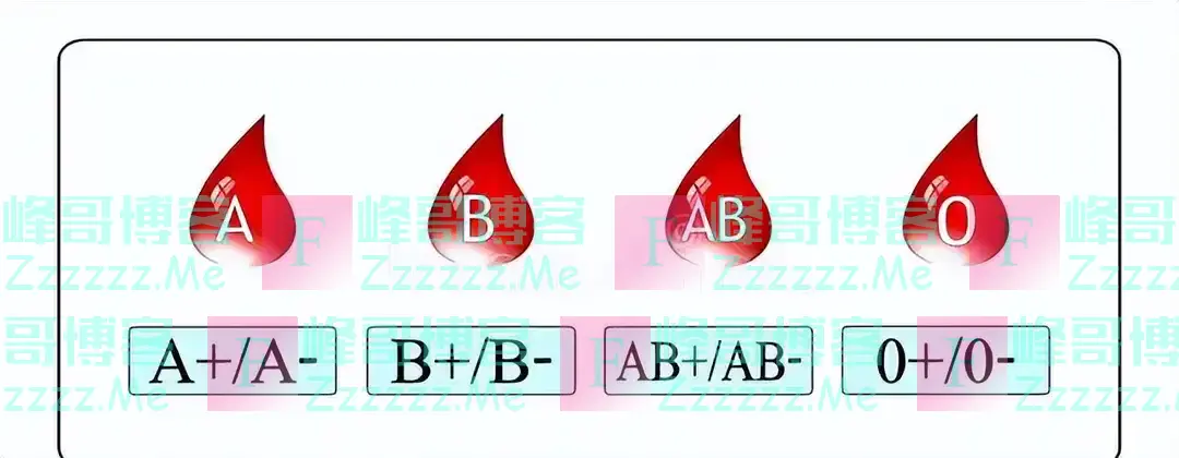 A型、B型、AB型、O型，哪种血型的人抵抗力好？医生说出答案