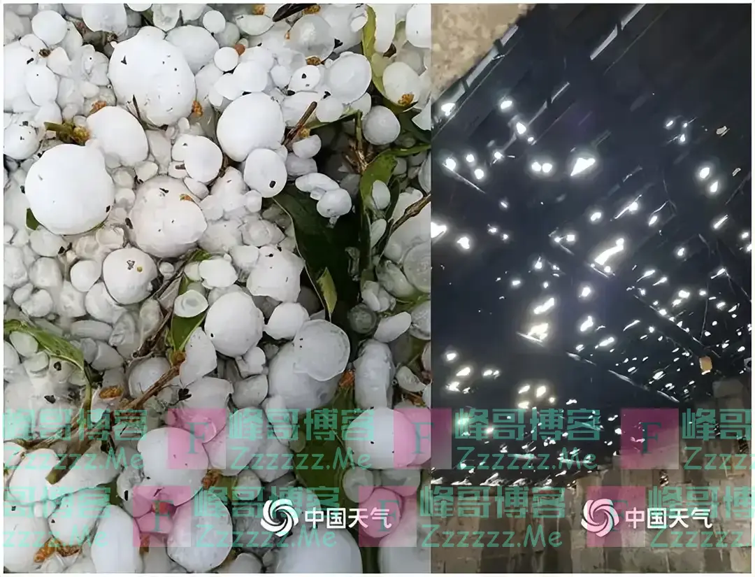 冷暖“秒”切换！暴降20℃+极端雨雪+雷暴冰雹+回南天，今年来最复杂激烈天气正在上演