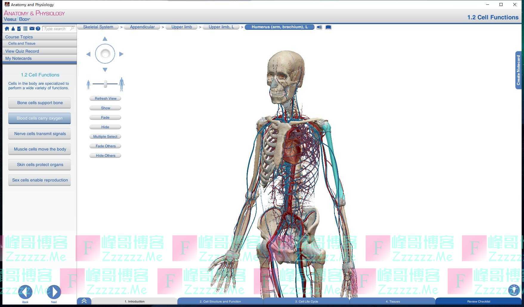 Anatomy and Physiology 解剖和生理学Pro专业破解版下载