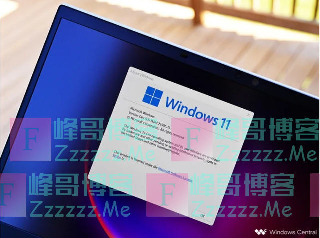 Windows11系统中文汉化补丁 Windows11设置中文方法